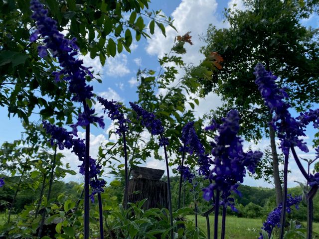 1751 County Road 50, Riceville, TN 37370