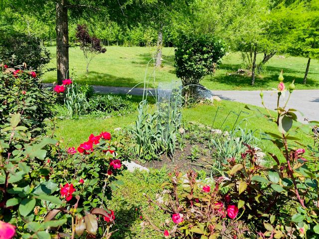 1751 County Road 50, Riceville, TN 37370