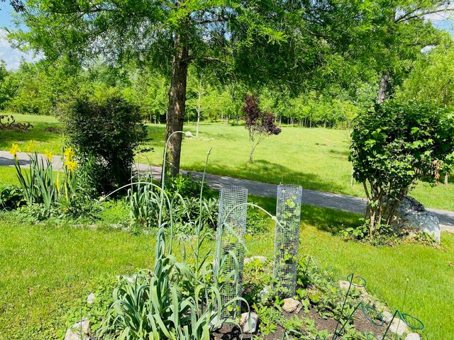 1751 County Road 50, Riceville, TN 37370