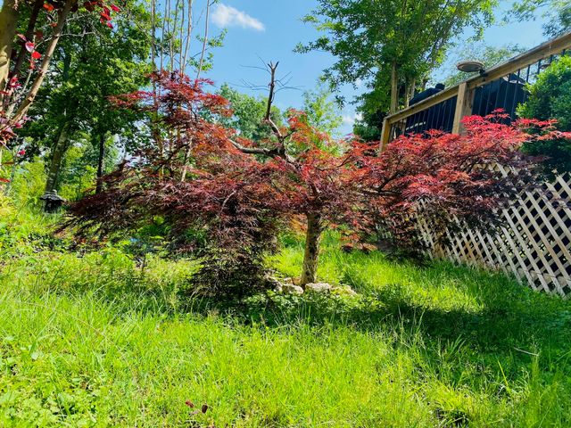 1751 County Road 50, Riceville, TN 37370