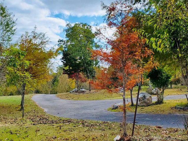 1751 County Road 50, Riceville, TN 37370