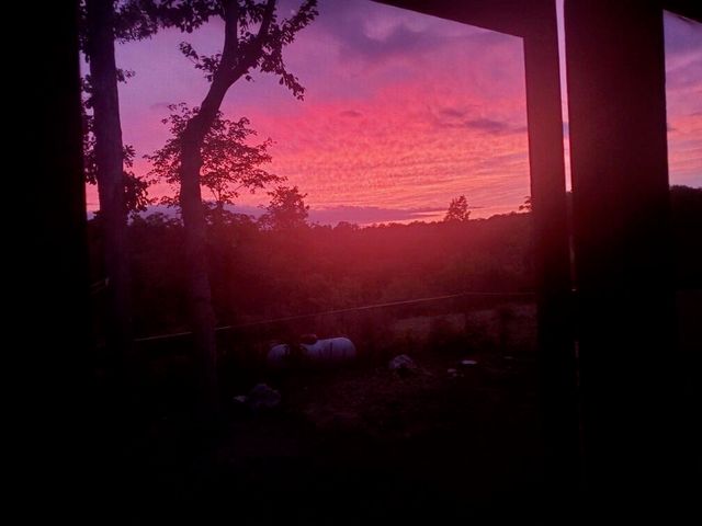 1751 County Road 50, Riceville, TN 37370