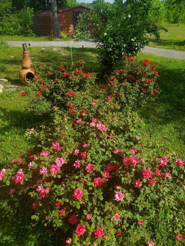 1751 County Road 50, Riceville, TN 37370