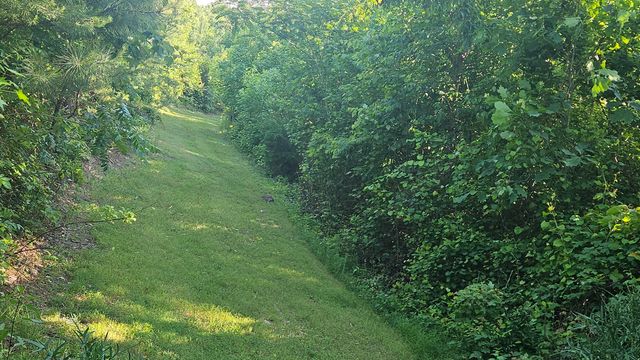 1751 County Road 50, Riceville, TN 37370