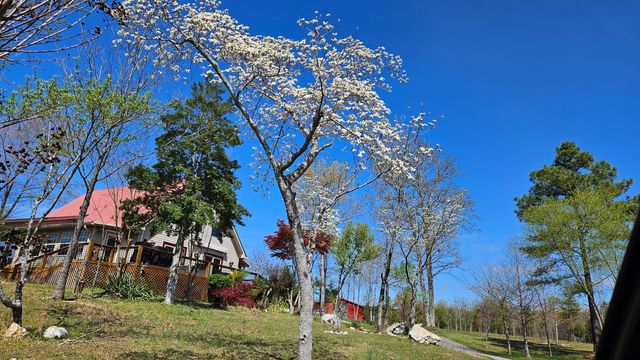 1751 County Road 50, Riceville, TN 37370