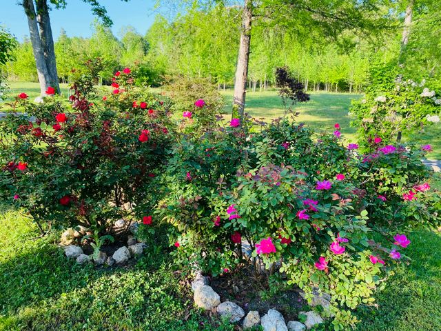 1751 County Road 50, Riceville, TN 37370
