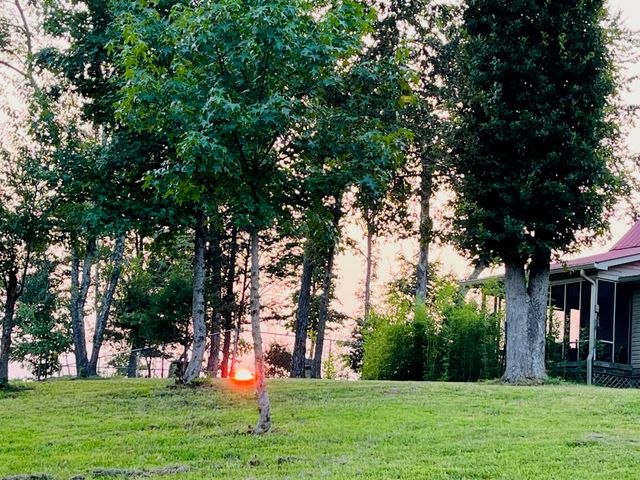 1751 County Road 50, Riceville, TN 37370