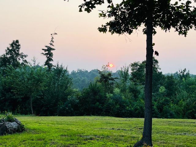 1751 County Road 50, Riceville, TN 37370