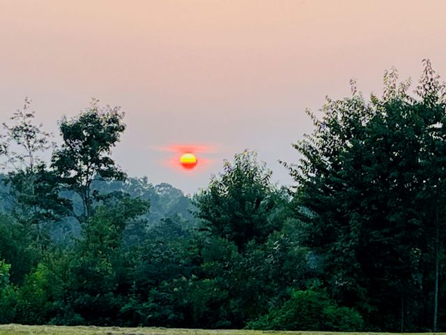 1751 County Road 50, Riceville, TN 37370