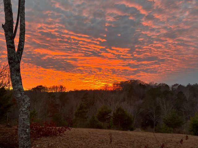 1751 County Road 50, Riceville, TN 37370