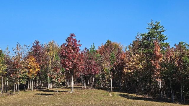1751 County Road 50, Riceville, TN 37370