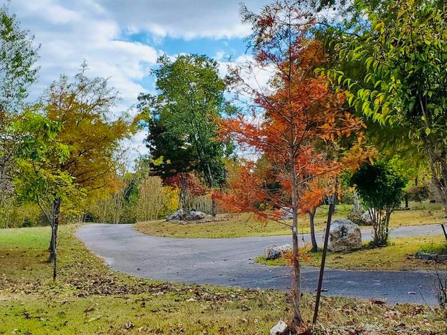 1751 County Road 50, Riceville, TN 37370