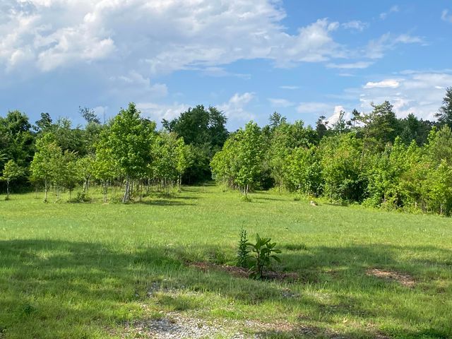 1751 County Road 50, Riceville, TN 37370