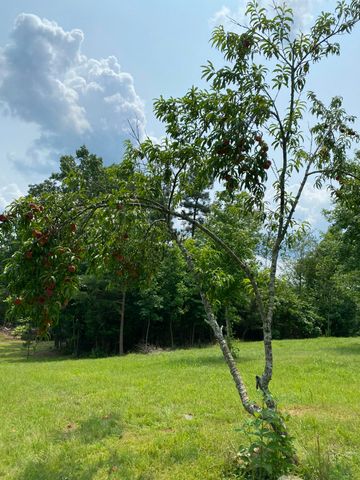 1751 County Road 50, Riceville, TN 37370