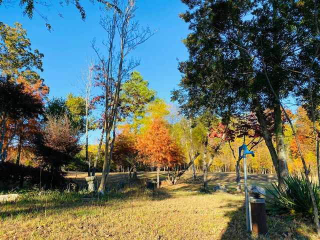 1751 County Road 50, Riceville, TN 37370