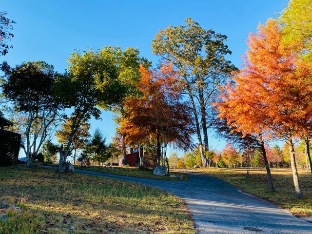 1751 County Road 50, Riceville, TN 37370