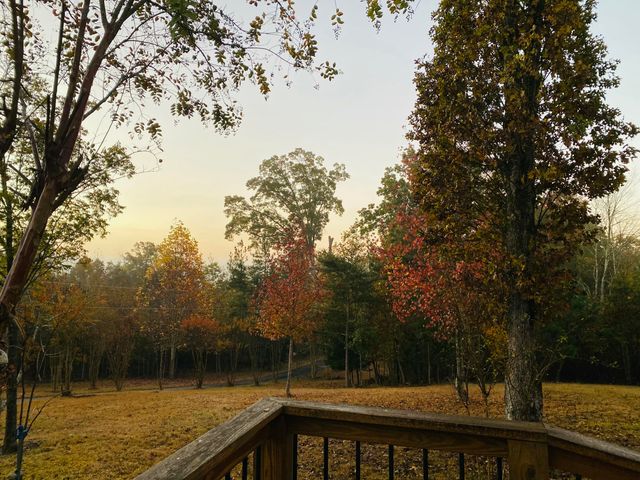 1751 County Road 50, Riceville, TN 37370