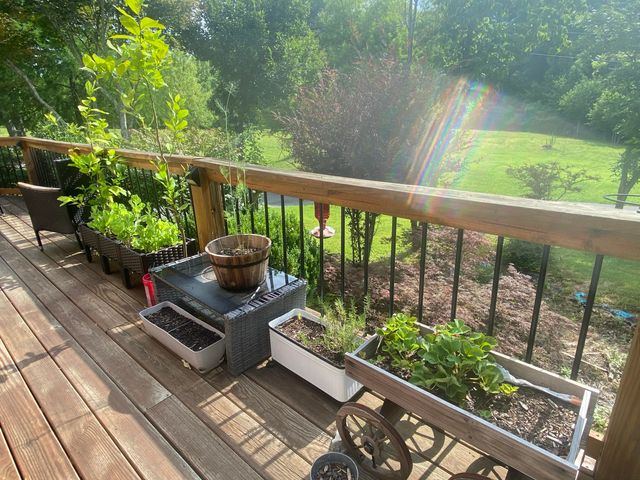 1751 County Road 50, Riceville, TN 37370