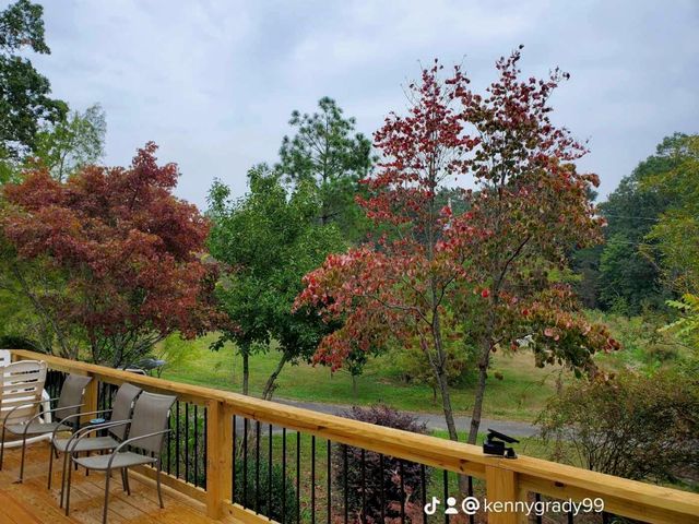 1751 County Road 50, Riceville, TN 37370