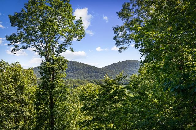 169 Walnut Mountain Road, Ellijay, GA 30540