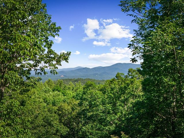 169 Walnut Mountain Road, Ellijay, GA 30540