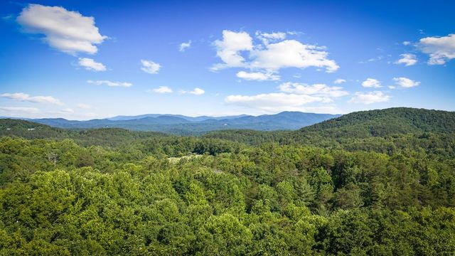 169 Walnut Mountain Road, Ellijay, GA 30540