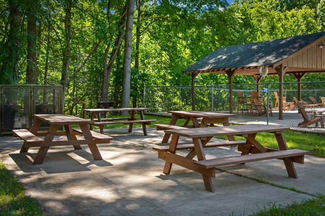 169 Walnut Mountain Road, Ellijay, GA 30540