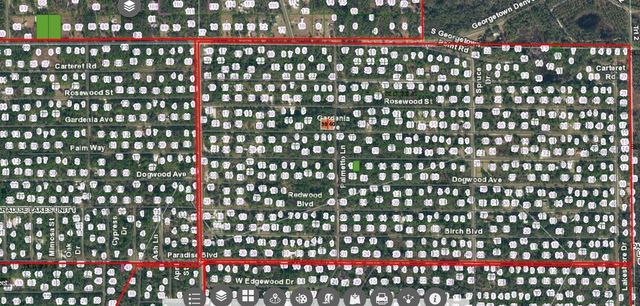 336 GARDENIA AVENUE, Georgetown, FL 32139