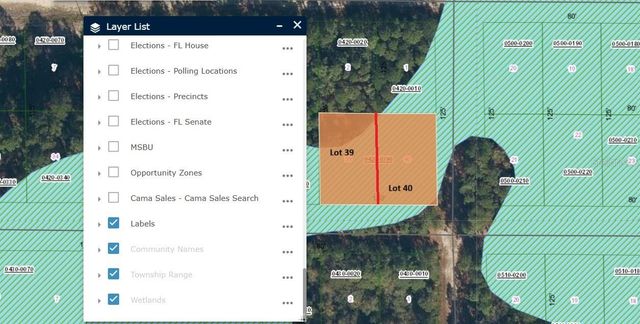 336 GARDENIA AVENUE, Georgetown, FL 32139