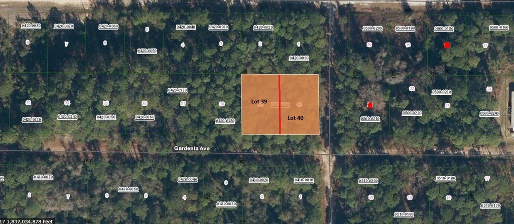 336 GARDENIA AVENUE, Georgetown, FL 32139