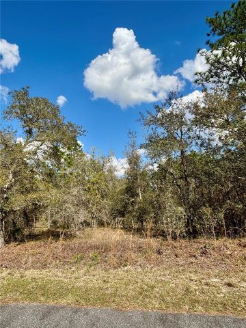 0000 SW HILLCREST AVENUE, Dunnellon, FL 34431