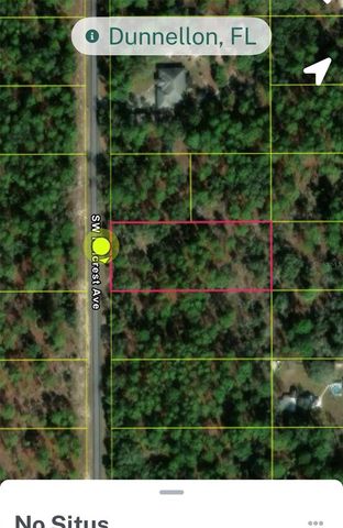 0000 SW HILLCREST AVENUE, Dunnellon, FL 34431