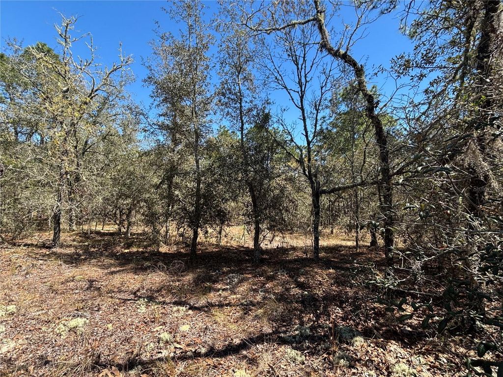 0000 SW HILLCREST AVENUE, Dunnellon, FL 34431