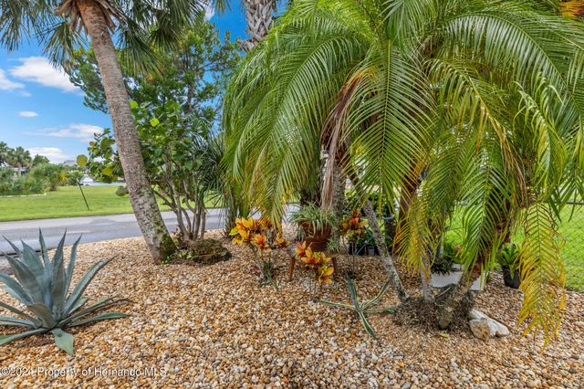 4031 Eagle Nest Drive, Hernando Beach, FL 34607