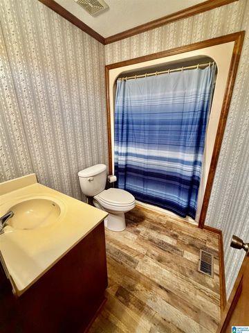6295 COUNTY ROAD 81, Clanton, AL 35045