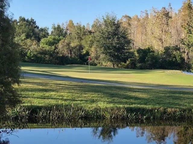 18170 CANAL POINTE STREET, Tampa, FL 33647