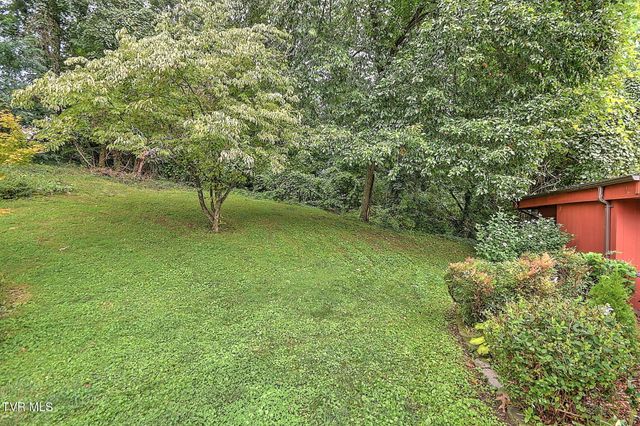 1507 Woodland Avenue, Johnson City, TN 37601