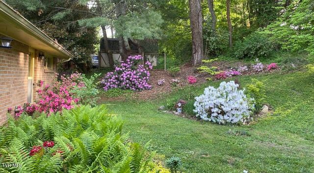 1507 Woodland Avenue, Johnson City, TN 37601