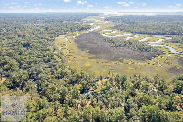 262 Mingarry Drive, Richmond Hill, GA 31324