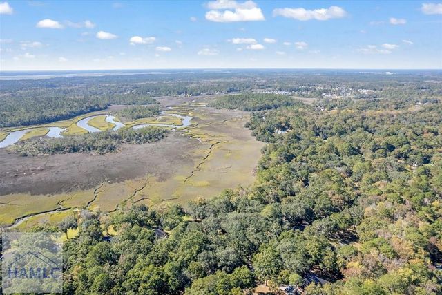 262 Mingarry Drive, Richmond Hill, GA 31324