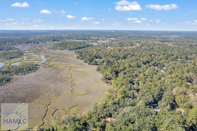 262 Mingarry Drive, Richmond Hill, GA 31324