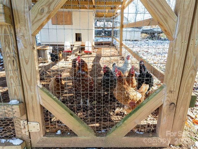 55 Morgan Road, Weaverville, NC 28787