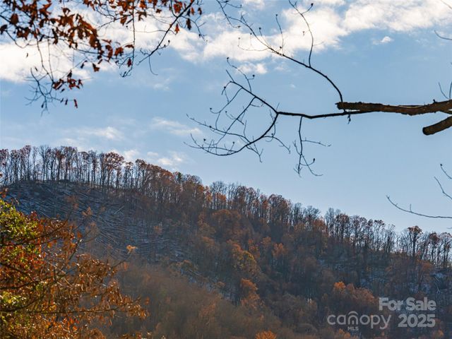 55 Morgan Road, Weaverville, NC 28787