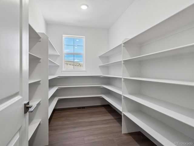 1289 Oleander St, Castle Rock, CO 80109