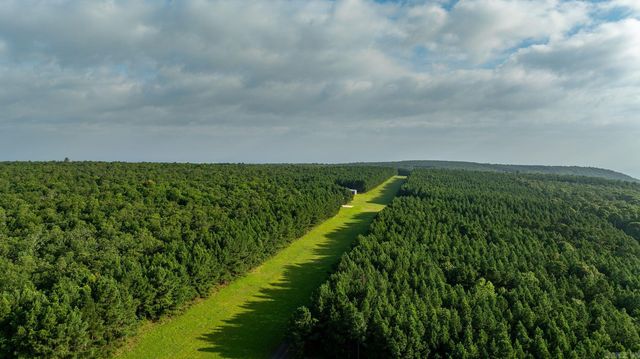 11334 Pool Hollow Road, Dardanelle, AR 72834