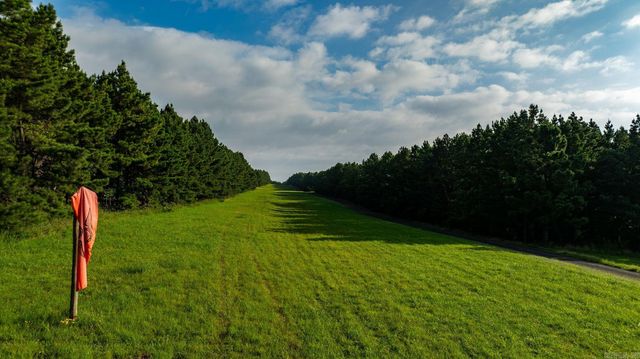 11334 Pool Hollow Road, Dardanelle, AR 72834