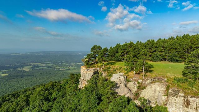 11334 Pool Hollow Road, Dardanelle, AR 72834