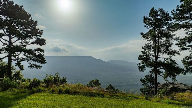 11334 Pool Hollow Road, Dardanelle, AR 72834