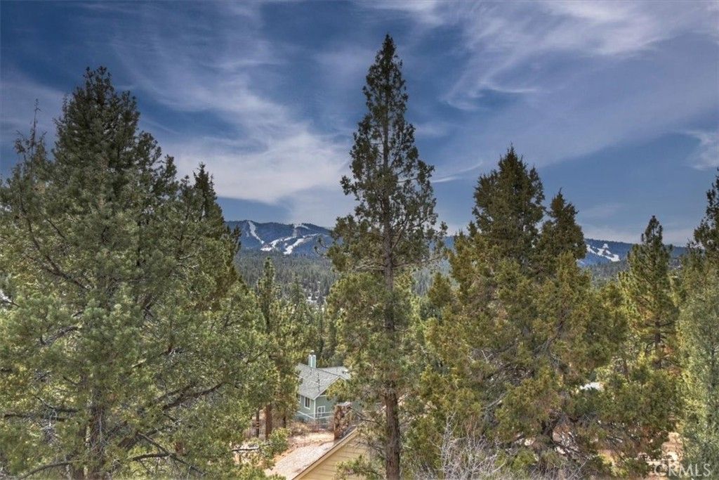 Image 49 of property listing at 1051 Mound, Big Bear City, CA 92314