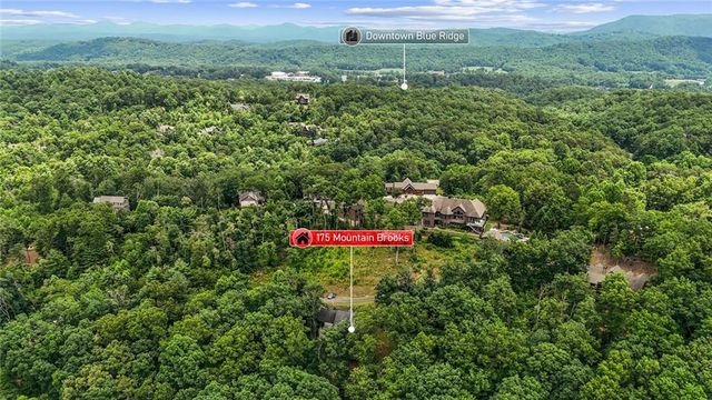 175 Mountain Brooks Road, Blue Ridge, GA 30513
